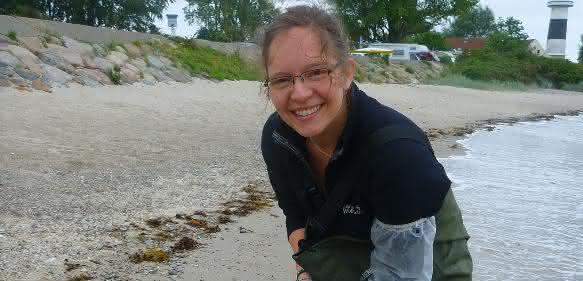 Angelika Graiff beim Sammeln des Blasentangs Fucus vesiculosus für Untersuchungen zur Auswirkung von Ozeanversauerung und Erwärmung auf den Blasentang und seine assoziierte Lebensgemeinschaft in der Benthokosmos-Anlage am GEOMAR in Kiel. (Foto: privat) Angelika Graiff beim Sammeln des Blasentangs Fucus vesiculosus für Untersuchungen zur Auswirkung von Ozeanversauerung und Erwärmung auf den Blasentang und seine assoziierte Lebensgemeinschaft in der Benthokosmos-Anlage am GEOMAR in Kiel. (Foto: privat)