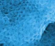 Regelmäßiges Clathrin-Gitter auf einer Aluminium-Oberfläche (Aufnahme mit dem Elektronenmikroskop, ca. 1,5 x 1,5 µm).