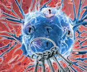 Krebszellen passen sich jedoch an und werden immun, daher muss auch die optimale Therapie im zeitlichen Verlauf immer wieder angepasst werden. (Bild: Research Institute of Molecular Pathology (IMP)) Krebszellen passen sich jedoch an und werden immun, daher muss auch die optimale Therapie im zeitlichen Verlauf immer wieder angepasst werden. (Bild: Research Institute of Molecular Pathology (IMP))