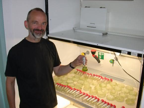 Prof. Dr. Ulf Karsten (Foto: ITMZ / Uni Rostock)