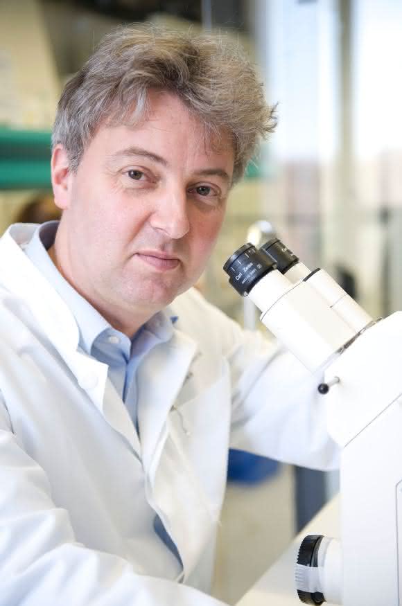 Prof. Dr. Oliver Brüstle