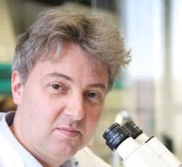 Prof. Dr. Oliver Brüstle