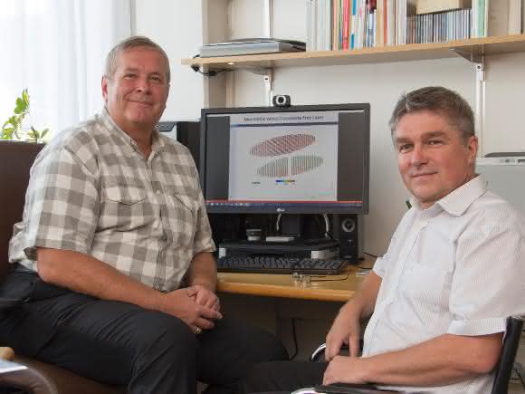 Die „Spin-Doktoren": Prof. Siegfried Selberherr (links) und Dr. Viktor Sverdlov. (Copyright: TU Wien)