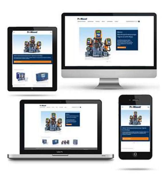 Webseite von ProMinent