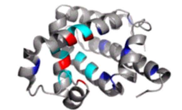Combining Disparate Data Types: Protein Sequences and Protein Structures