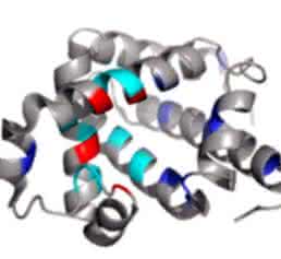 Combining Disparate Data Types: Protein Sequences and Protein Structures Combining Disparate Data Types: Protein Sequences and Protein Structures