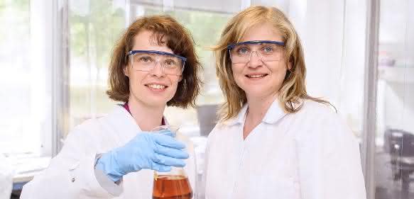 JeNaCell-Team