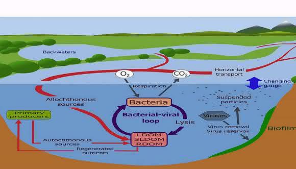Hydrologie