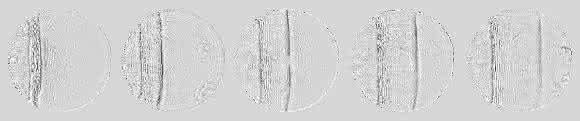Schockwelle