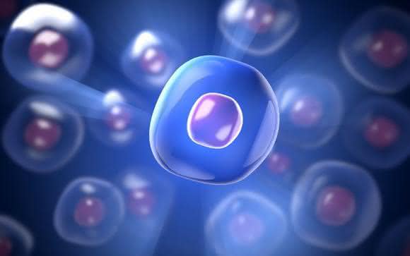 Cell Separation: High throughput cell separation – a model for upscaling