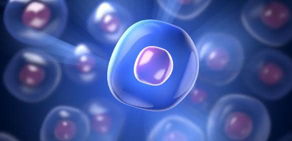 Cell Separation: High throughput cell separation – a model for upscaling