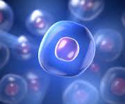 Cell Separation: High throughput cell separation – a model for upscaling