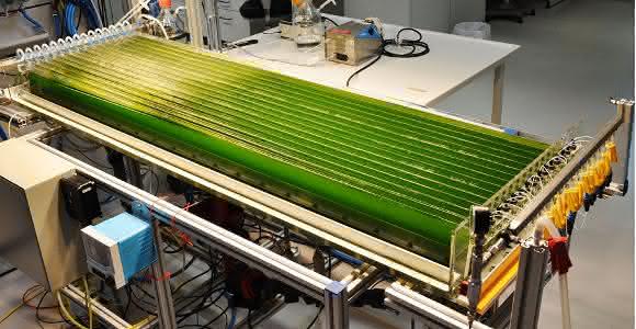 Photobioreaktor