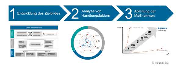 Ingenics AG: Strategische Bedarfsanalyse Schema