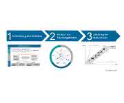 Ingenics AG: Strategische Bedarfsanalyse Schema