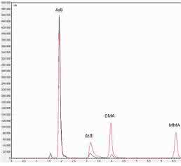 Chromatogramme Chromatogramme