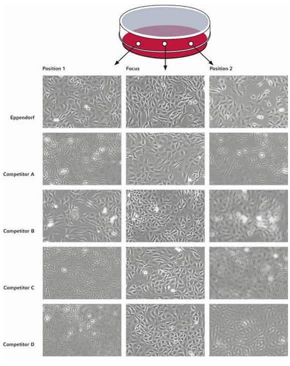 Cell Culture  Consumables