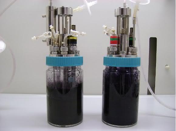 Bioreaktor