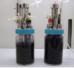 Bioreaktor