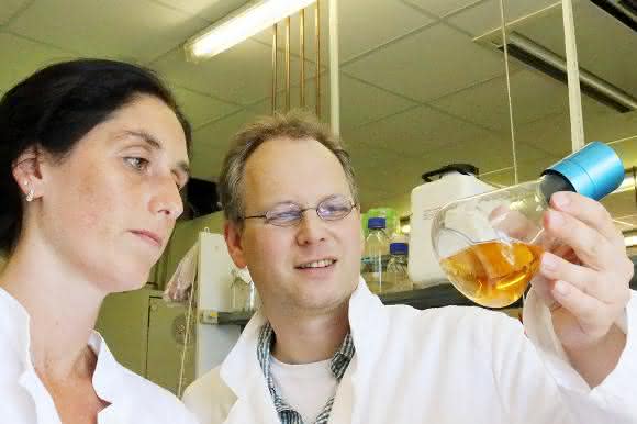 Prof. Christoph Wittmann