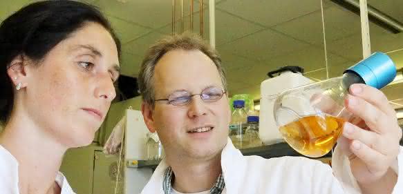 Prof. Christoph Wittmann Prof. Christoph Wittmann