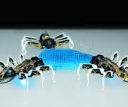 BionicANTs von Festo Bionische Ameisen