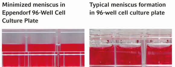 Improved optical performance  facilitates microscopic analysis of cells: Cell Culture  Consumables