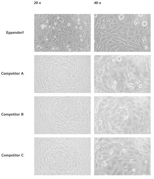 Improved optical performance facilitates microscopic analysis of cells: Cell Culture Consumables Improved optical performance facilitates microscopic analysis of cells: Cell Culture Consumables