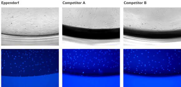 Improved optical performance  facilitates microscopic analysis of cells: Cell Culture  Consumables