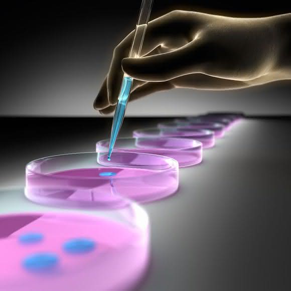 Improved optical performance  facilitates microscopic analysis of cells: Cell Culture  Consumables