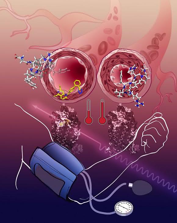 Angiotensin-Rezeptor