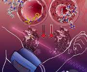 Angiotensin-Rezeptor