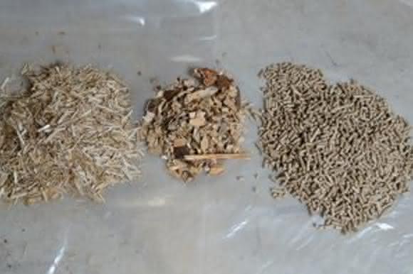 Biomasse
