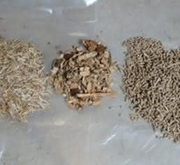 Biomasse Biomasse
