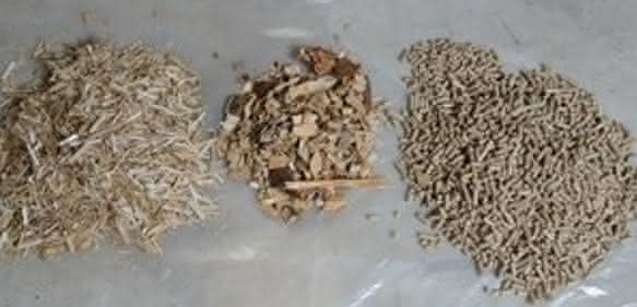 Biomasse Biomasse