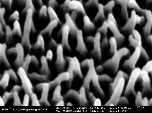 Nanostrukturen auf der Oberfläche des Schmetterlingsflügels Nanostrukturen auf der Oberfläche des Schmetterlingsflügels