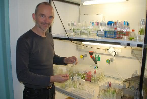 Prof. Dr. Ulf Karsten