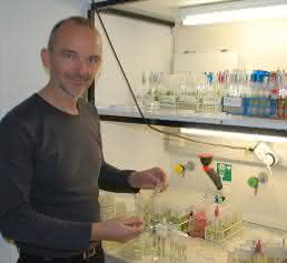 Prof. Dr. Ulf Karsten