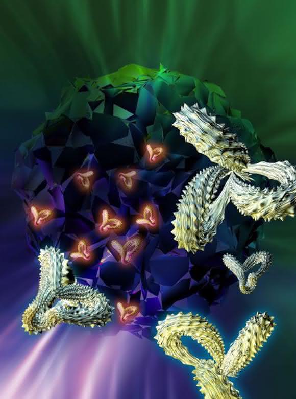 Antibodies Antibodies
