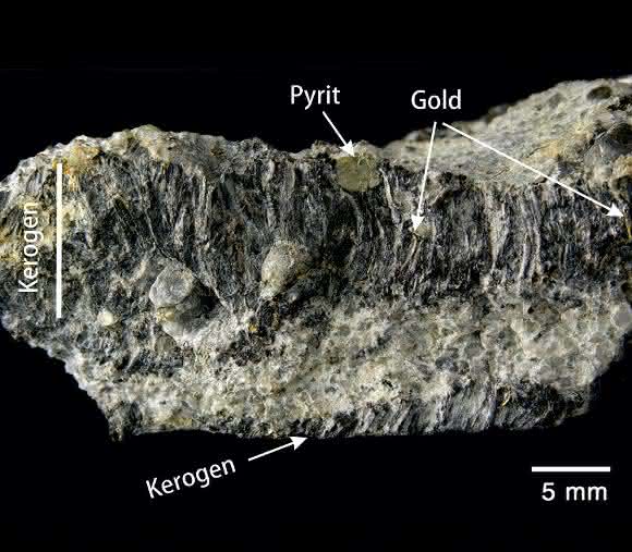 Sedimentgestein