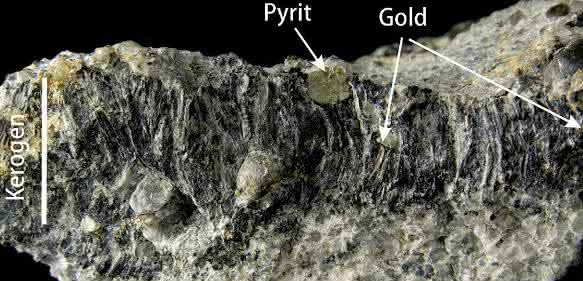 Sedimentgestein