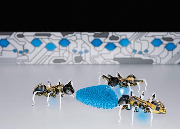 BionicAnts