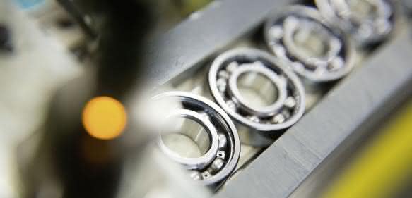Schaeffler Indien 1
