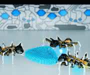 BionicANTs von Festo