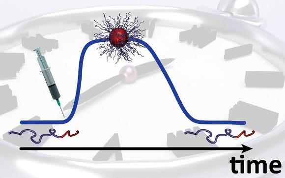 Selbstzerstörungsmechanismus