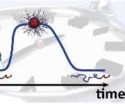 Selbstzerstörungsmechanismus Selbstzerstörungsmechanismus