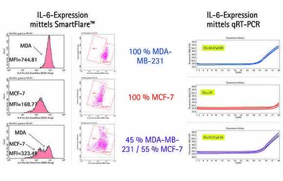 Detektion von mRNA