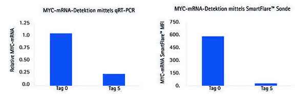 c-MYC-mRNA-Expression