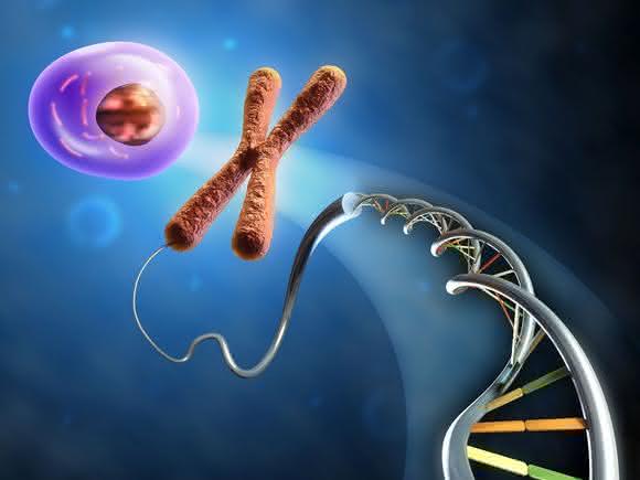 RNA-Expressionsanalyse: Screening lebender Zellen mit RNA-Detektionssonden