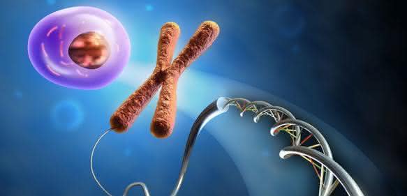 RNA-Expressionsanalyse: Screening lebender Zellen mit RNA-Detektionssonden RNA-Expressionsanalyse: Screening lebender Zellen mit RNA-Detektionssonden
